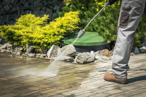 Best Roof Cleaning and Mildew Removal in Pioneer Village, KY