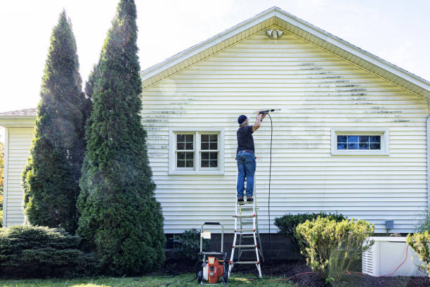 Best Soft Washing for Delicate Surfaces in Pioneer Village, KY